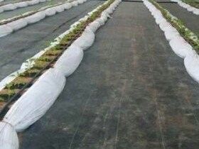 Tecido geotextil de drenagem de PET para desmatamento e retenção de água