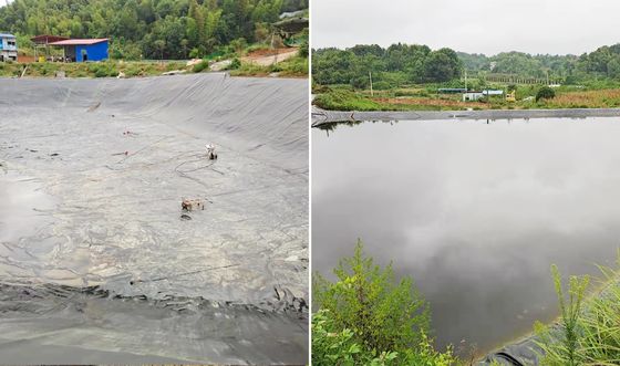 Geomembrana lisa de HDPE de alto desempenho para aquicultura e pecuária