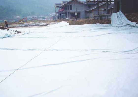 Fichas de poliéster PET Geotextil não tecido para rejeitos Lagoas e aterros Largura 1m-6,6m Resistência à ruptura KN/m ≥ LD/TD 4,5-40