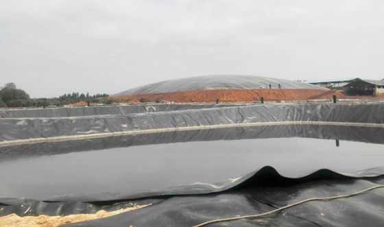 Geomembrana lisa anti-filtração de HDPE para projeto agrícola revestimentos de lagoa de peixes Largura 1m-9m comprimento 30-100m espessura> 0,5mm