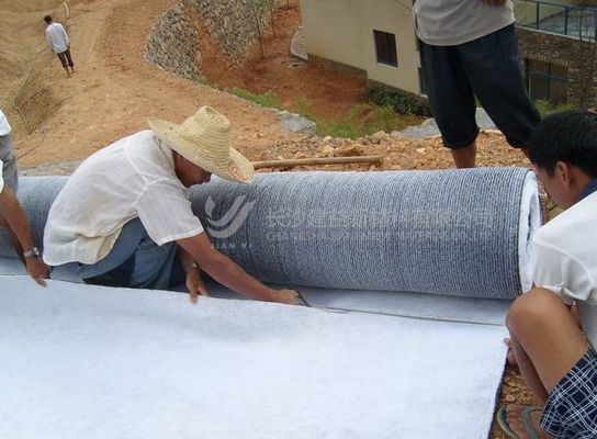Bentonita Gcl revestimento de argila geossintética para necessidades impermeáveis e impermeáveis