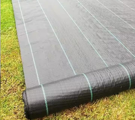 Excelente filtragem e drenagem Geotextil tecido de polipropileno preto